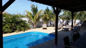 Oasis Guesthouse Bonaire: Poolbereich