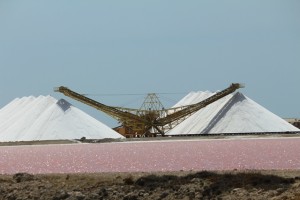 Salt Pans Bonaire