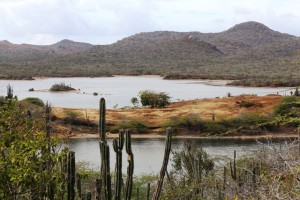 Lake Gotomeer