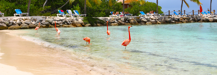 Renaissance Beach